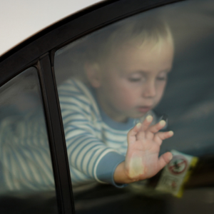 Never Leave Children or Pets in a Closed Vehicle